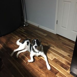 Meet your Posher, Brenda